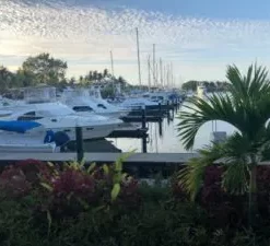 EL BARRACUDA (NUEVO VALLARTA)